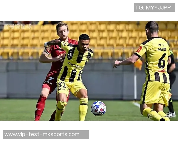 足球纽喷射迎战惠灵顿争夺联赛积分巅峰对决即将上演 足球纽喷射迎战惠灵顿争夺联赛积分巅峰对决即将上演